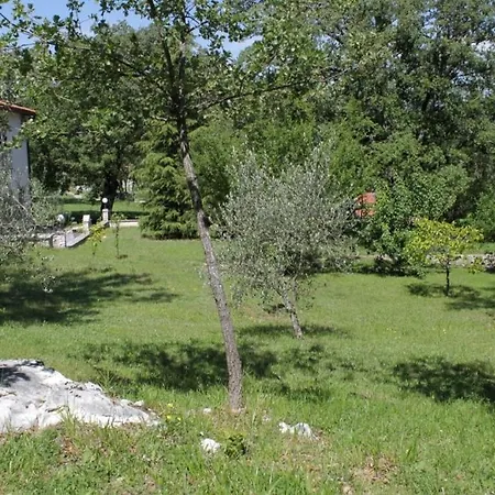 Dom wakacyjny House With A Parking Space - Vlasici, Istria - Sredisnja Istra - 7685